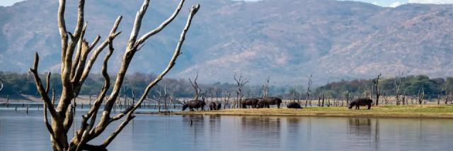 afrique-australe-lac-kariba-slider-hp-0919-paul-shio