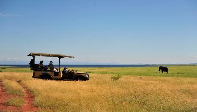 afrique-du-sud-parc-national-matusadona-safari01-eric-vancleyne
