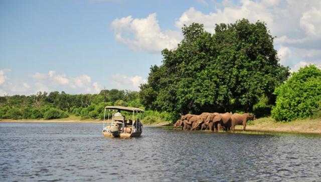 afrique-du-sud-parc-national-chobe-embarcation-elephants-troupe