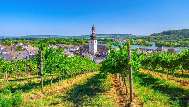 allemagne-rhin-rudesheim-csj-bo-hp-2020-aliaksandr-antanovich