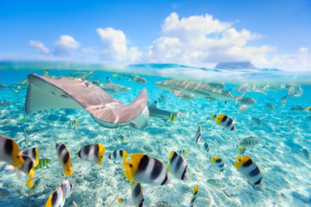 Bora Bora