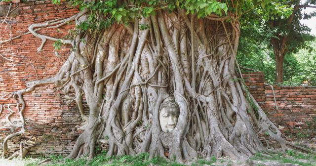 Ayutthaya