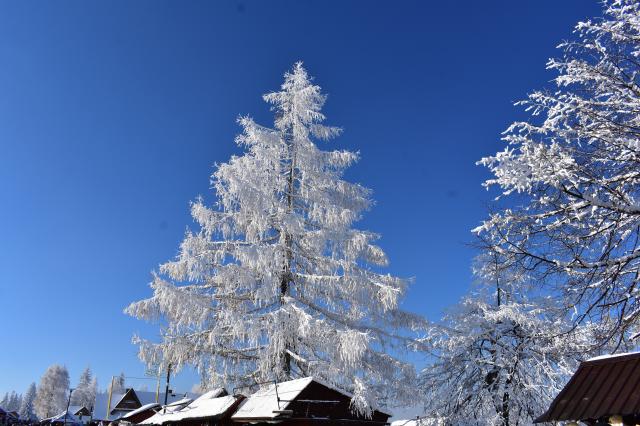 Adventi élmények Zakopaneban 4 nap