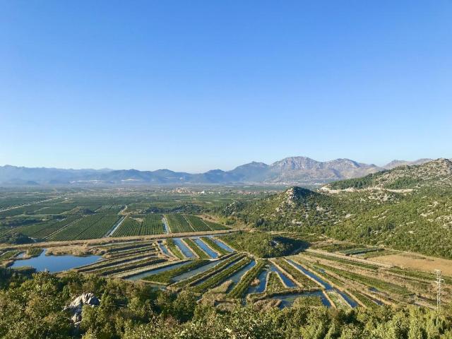 Montenegro és Bosznia, a Balkán gyöngyszemei mandarinszürettel