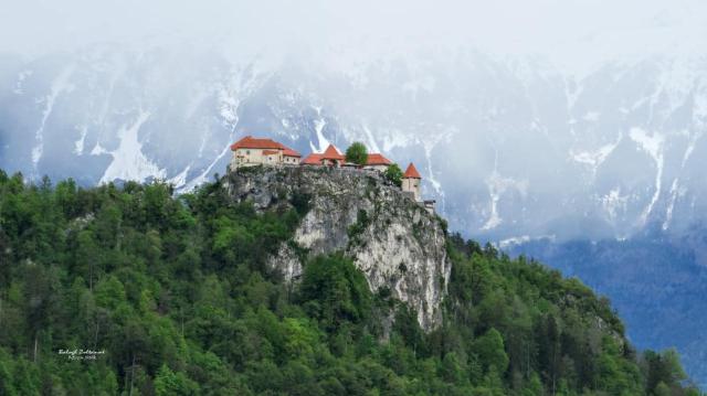 Bled vár