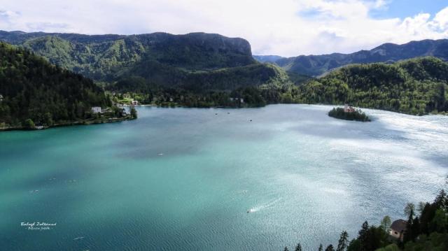 Bled