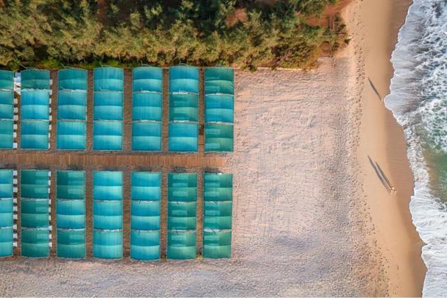 Telatiye Resort Hotel