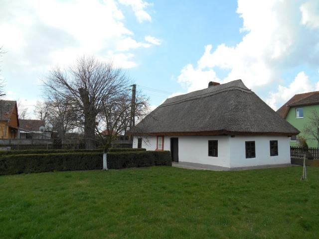 kép10.jpg
