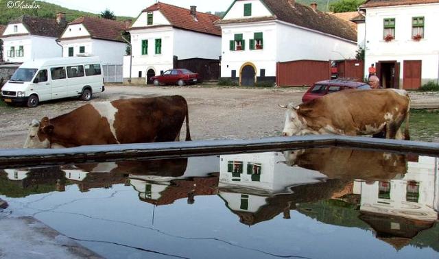 kép14.jpg