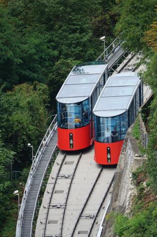Vadállatok a kastélykertben, Graz és a Herberstein- várkastély és vadaspark