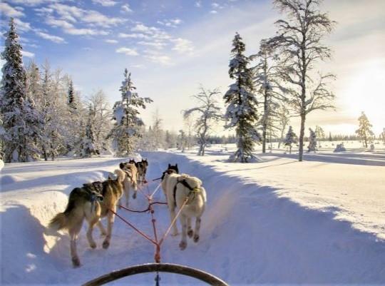 Téli kalandok finn Lappföldön - csoportos utazás magyar idegenvezetéssel - 2026.01.15-18.