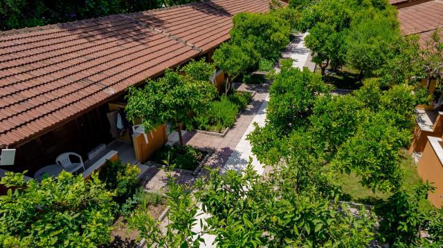 Ozlem Garden