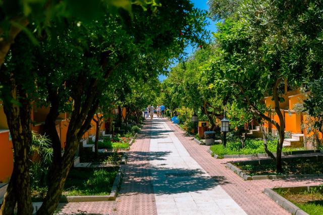 Ozlem Garden