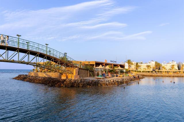 Desert Rose Hotel 