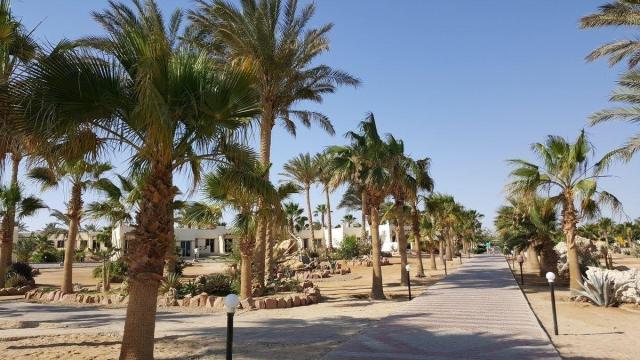 Coral Beach Resort