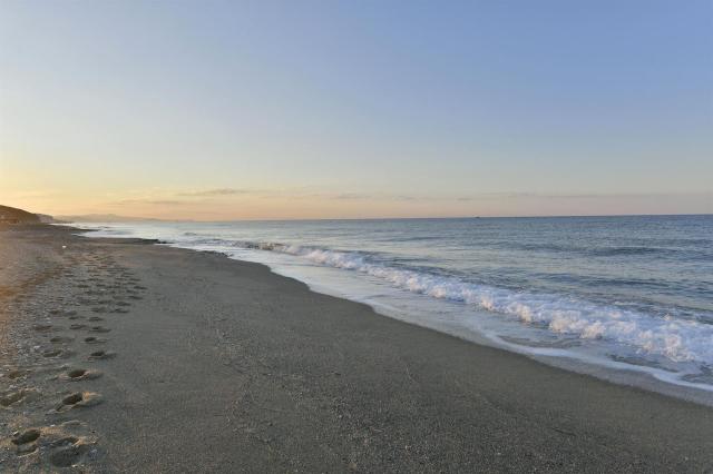 Royal Garden Beach