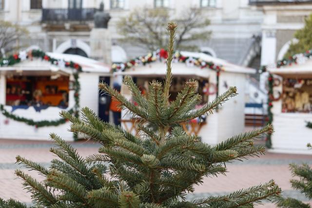 christmas-tree-6879069_1280