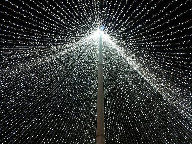 timisoara-567473_1280
