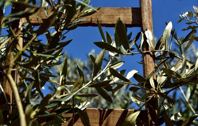 wooden-ladder-38030171920