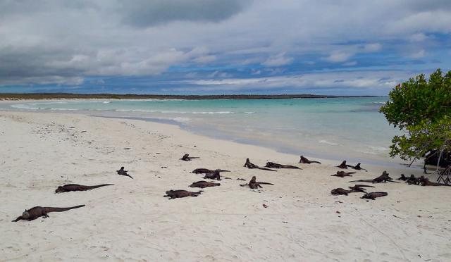 Kolumbia-Ecuador és a Galápagos-szigetek