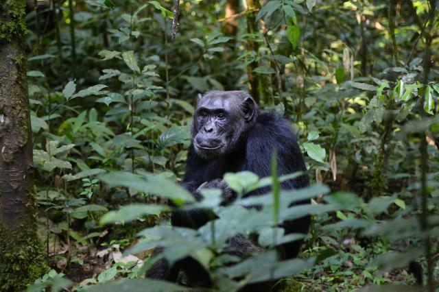 uganda-korutazas-(7).jpg