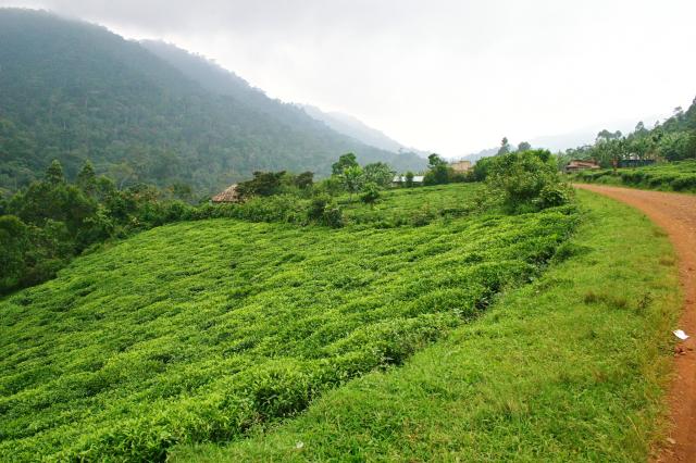 uganda-ruanda-korutazas-(1).jpg