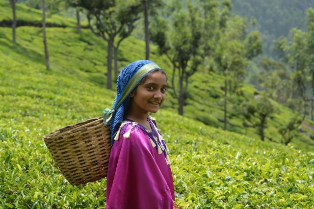 india-korutazas--(12).jpg