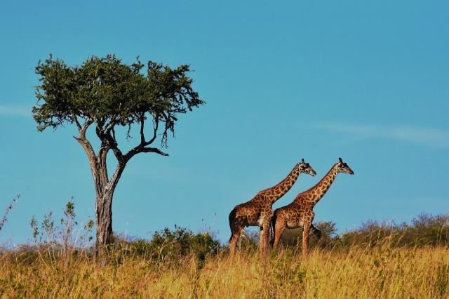tanzania-zanzibar-korutazas-(6).jpg