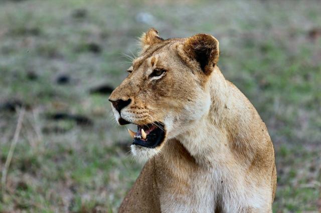 tanzania-zanzibar-korutazas-(11).jpg