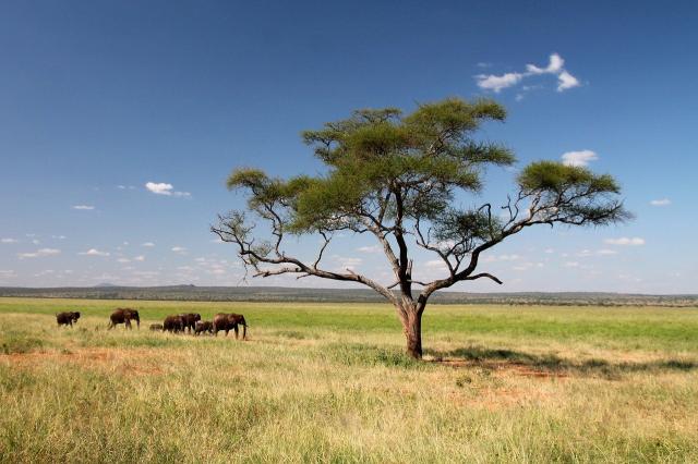 tanzania-zanzibar-korutazas-(4).jpg