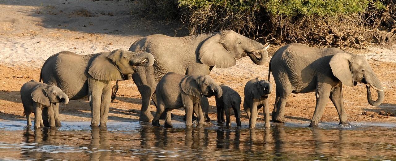 Dél-Afrika-Mozambik-Szváziföld-Lesotho-Zimbabwe-Botswana-Zambia