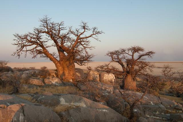 del-afrika-korutazas-(1).jpg
