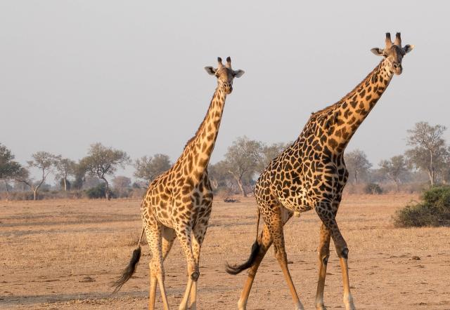 del-afrika-korutazas-(5).jpg
