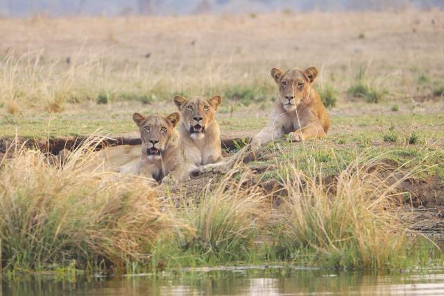 del-afrika-korutazas-(8).jpg
