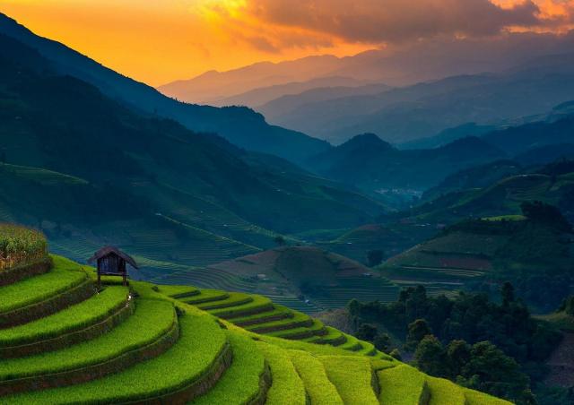 vietnam