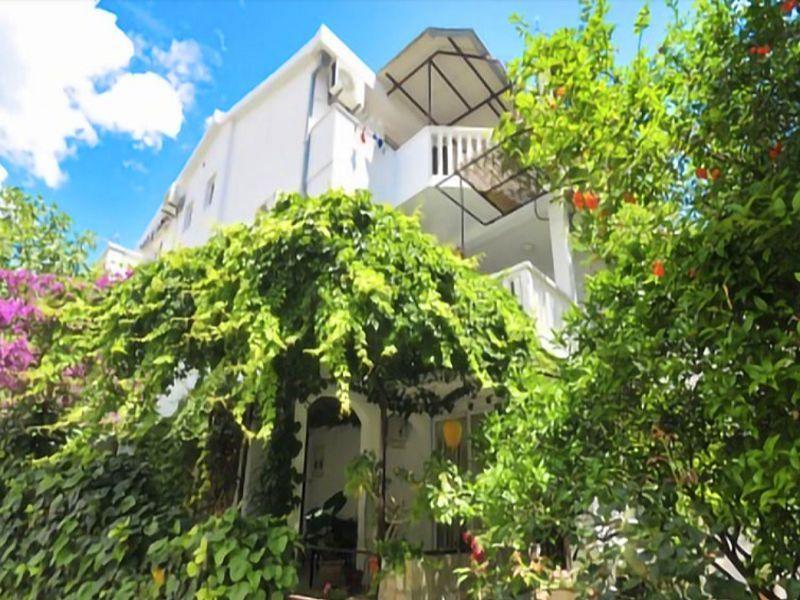 Jelena 27 Apartmanok