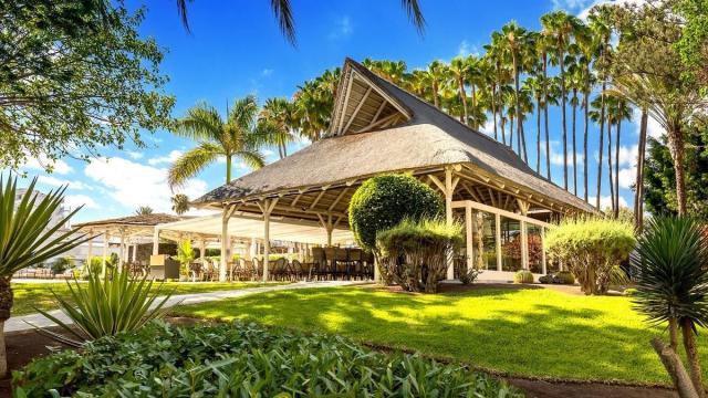 Barcelo Margaritas Royal Level