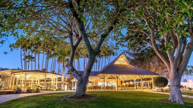 Barcelo Margaritas Royal Level