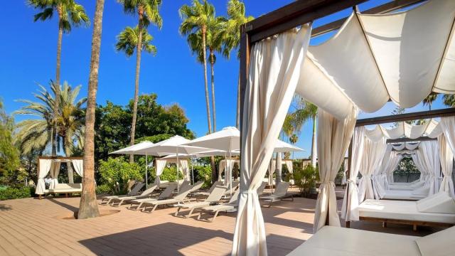 Barcelo Margaritas Royal Level