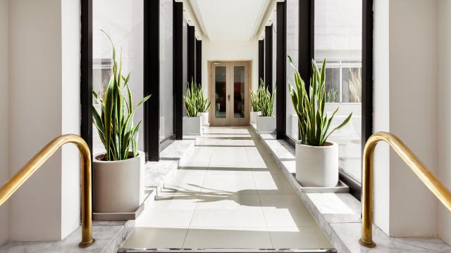 Plaza Hotels