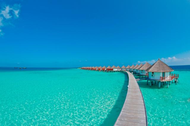 Safari Island