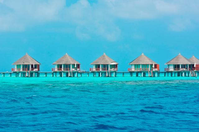 Safari Island
