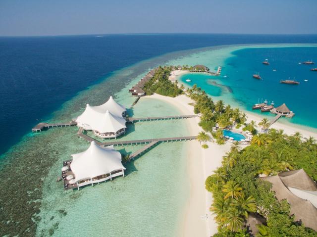 Safari Island