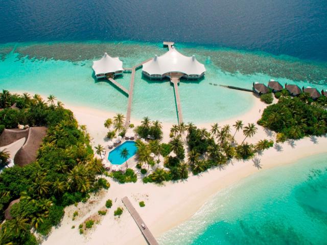 Safari Island