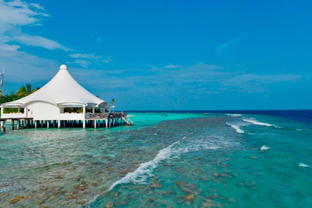 Safari Island