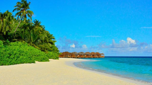 Fihalhohi Island Resort