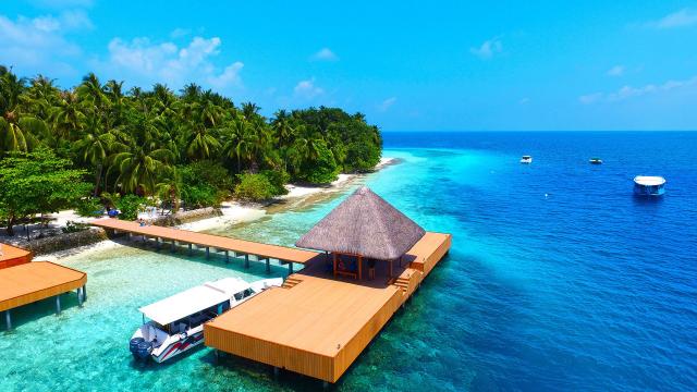 Fihalhohi Island Resort