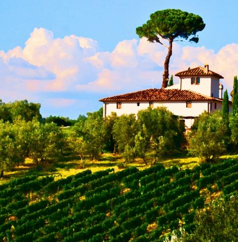 tuscany-landscape-watercolor_100331_o