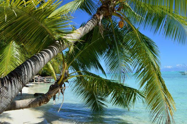 Hawaii tól Francia Polinéziáig csoportos hajóút magyar Hawaii tól Francia Polinéziáig csoportos hajóút magyar
